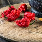 Carolina Reaper