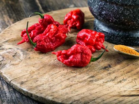Carolina Reaper