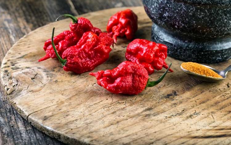 Carolina Reaper