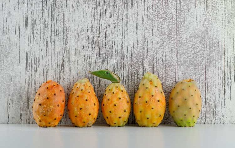 Cactusvijg