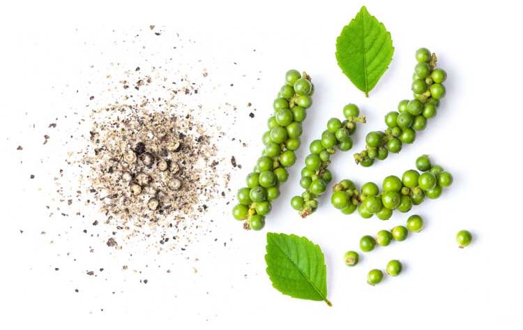 Groene peper