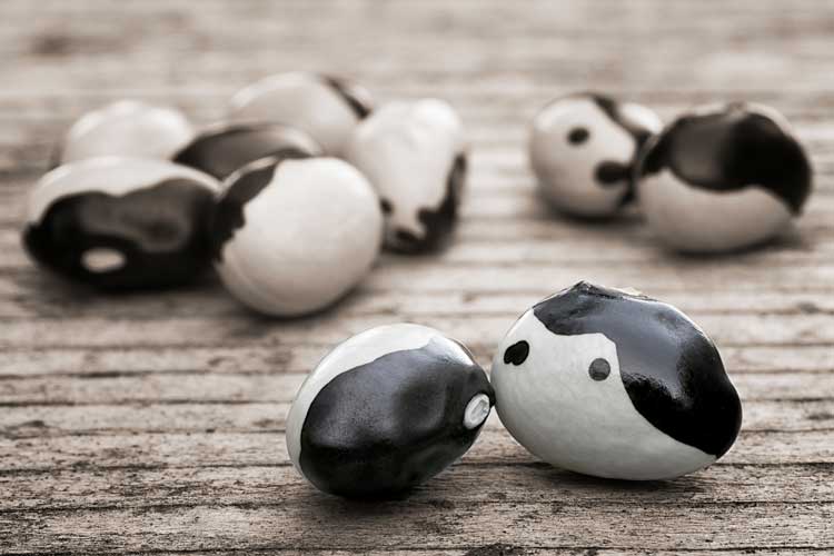 Orca bonen