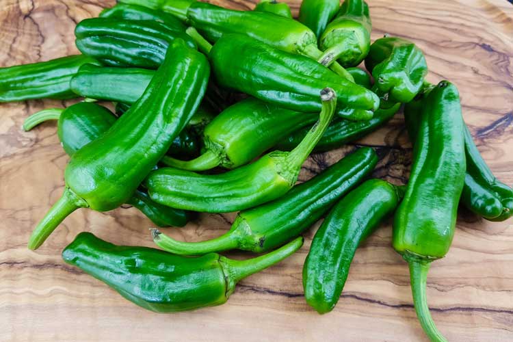 Pimientos de Padrón