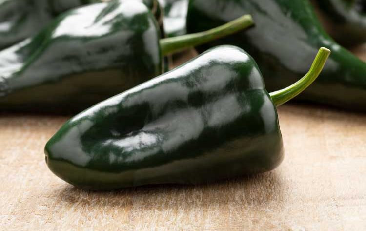 Poblano