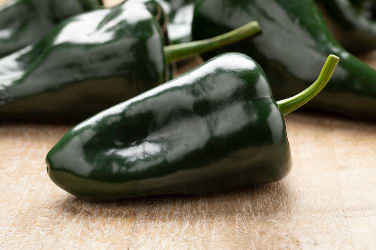 Poblano