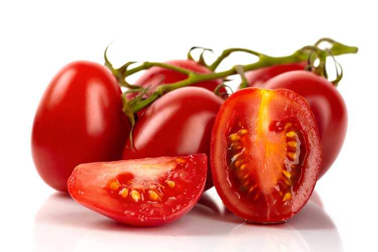 Roma tomaten