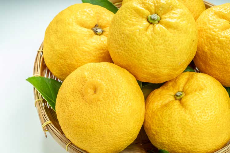 Yuzu