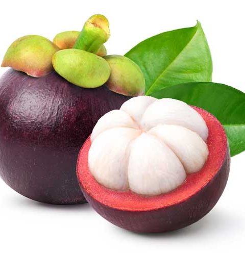 Mangosteen