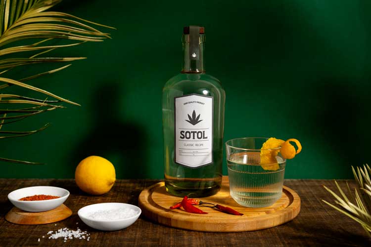 Sotol