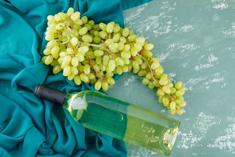 Vermentino