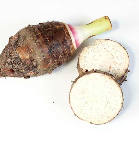 Taro head