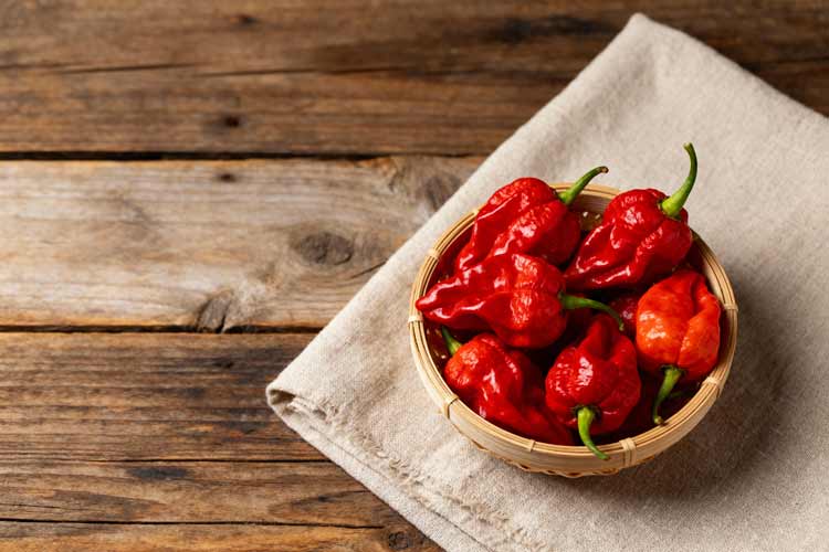 Trinidad Moruga Scorpion